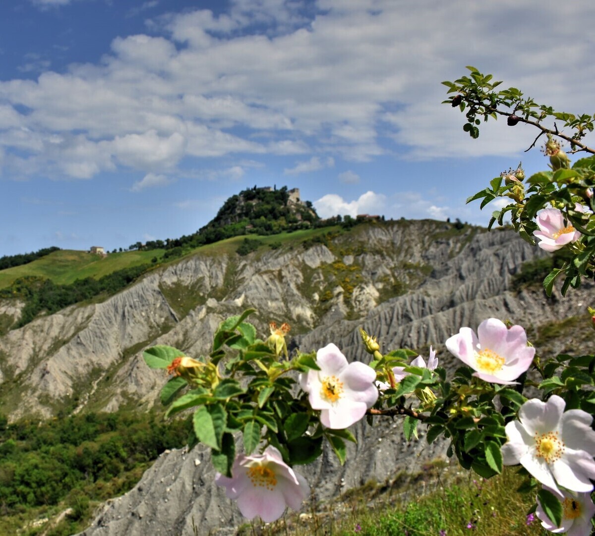 Castello di Canossa